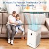 Air Purifier [Price-Limited Product]