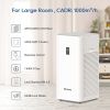 Air Purifier [Price-Limited Product]